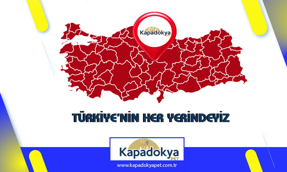 Pet Levha Firmaları Kapadokya Pet