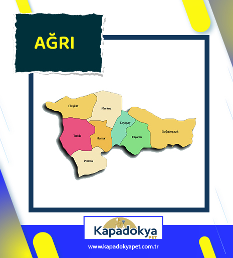Pet Levha Ağrı