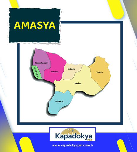 Pet Levha Amasya