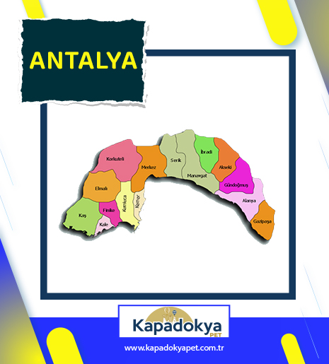Pet Levha Antalya