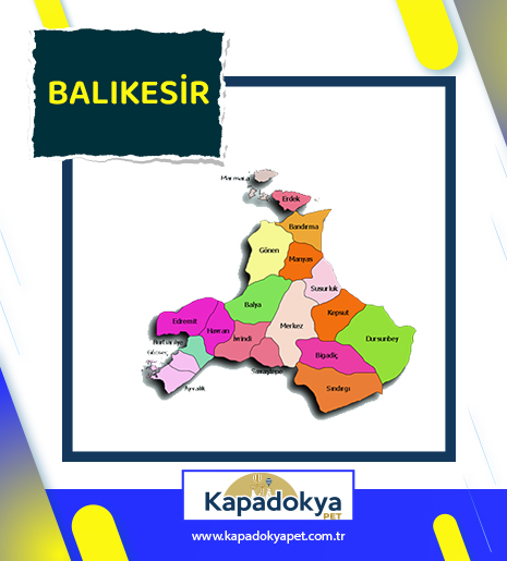 Pet Levha Balıkkesir