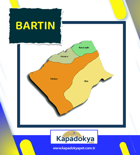 Pet Levha Bartın