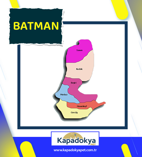 Pet Levha Batman