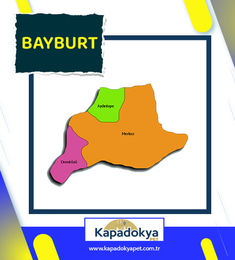 Pet Levha Bayburt