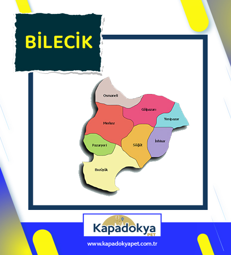 Pet Levha Bilecik