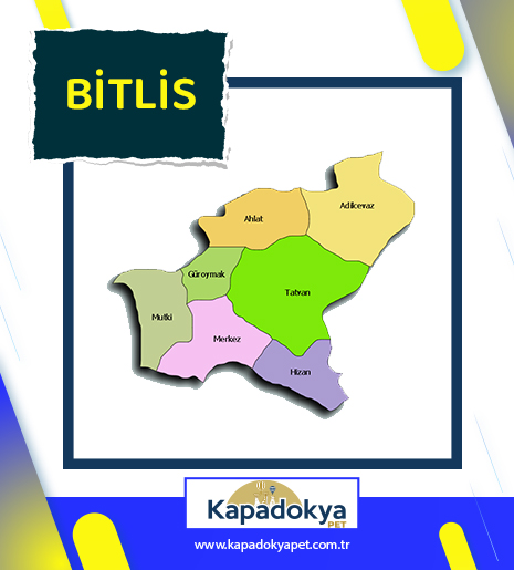 Pet Levha Bitlis