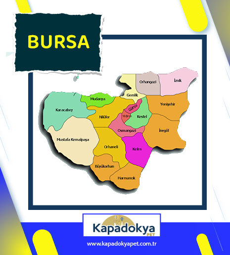 Pet Levha Bursa