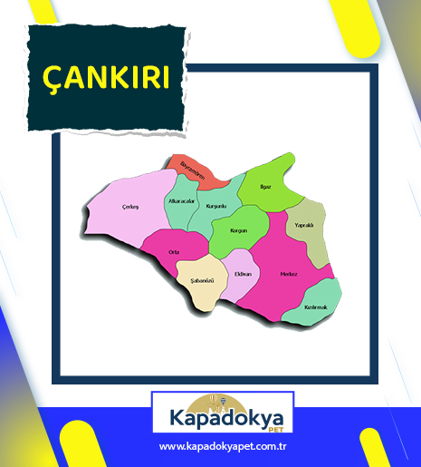 Pet Levha Çankırı