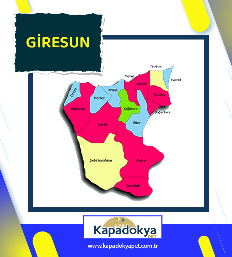 Pet Levha Giresun