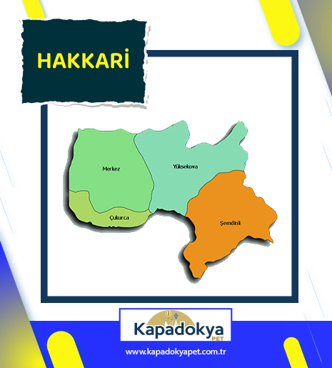 Pet Levha Hakkâri