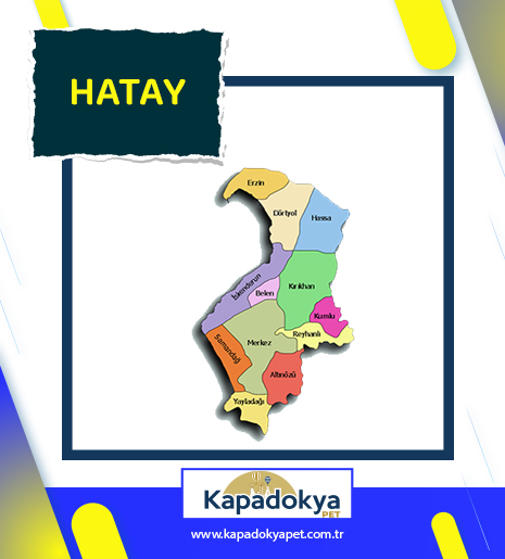 Pet Levha Hatay