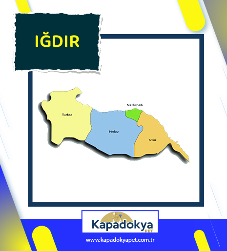 Pet Levha Iğdır