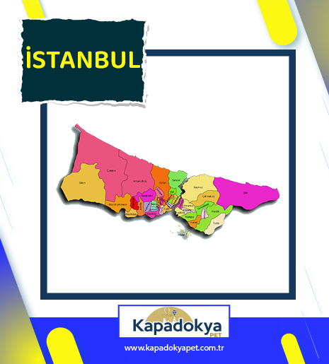 Pet Levha İstanbul