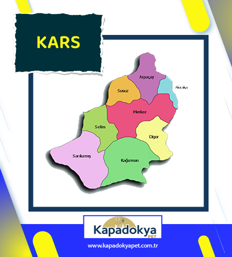 Pet Levha Kars