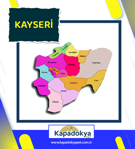 Pet Levha Kayseri