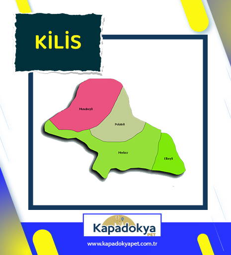 Pet Levha Kilis