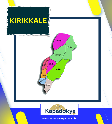 Pet Levha Kırıkkale