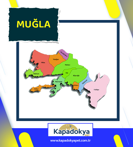 Pet Levha Muğla