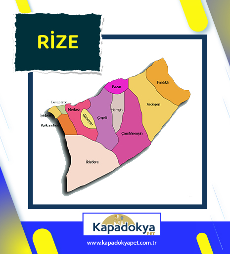 Pet Levha Rize