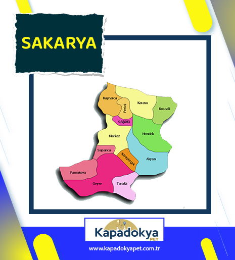 Pet Levha Sakarya