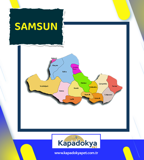 Pet Levha Samsun