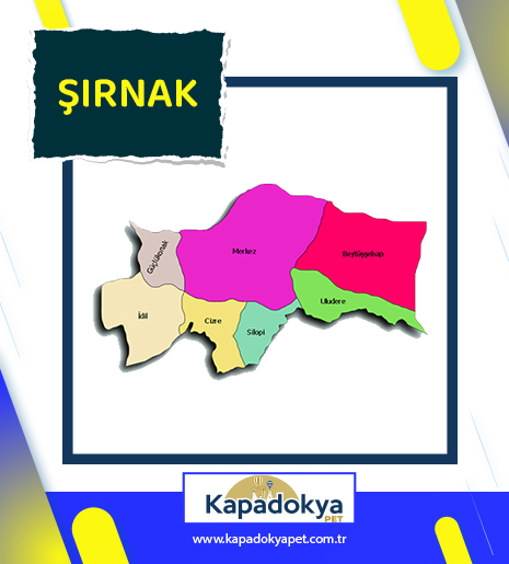 Pet Levha Şırnak