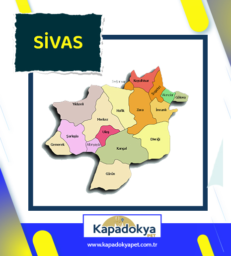Pet Levha Sivas
