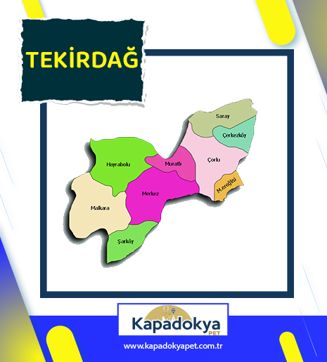 Pet Levha Tekirdağ